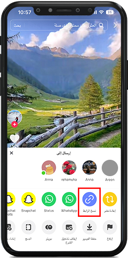 نسخ رابط فيديو التيك توك