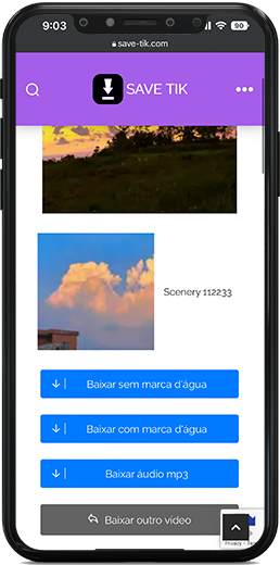 download video tiktok