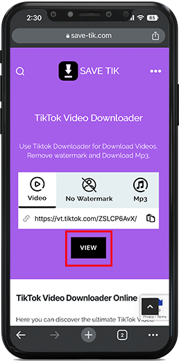 TikTok Downloader - TikTok Videos Without Watermark & Mp3