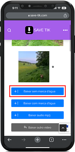 save video without watermark