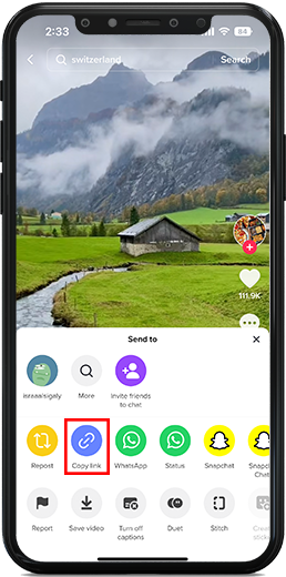 copy video link for download