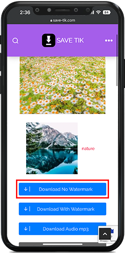 download video tiktok without watermark